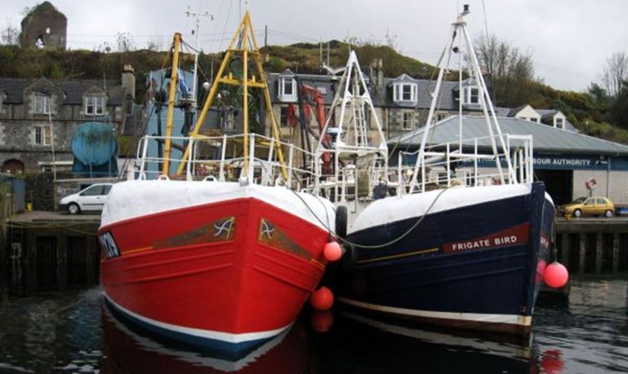 modern boats